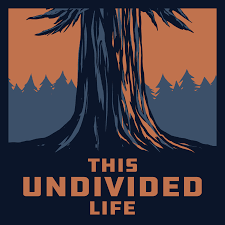 This Undivided Life #74: Joan Chittister on The Monastic Heart