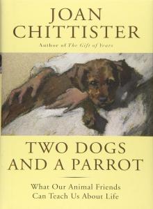 Two Dogs and A Parrot by Joan Chittister