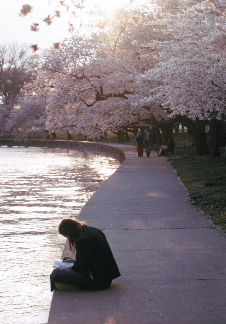 Woman journaling by water