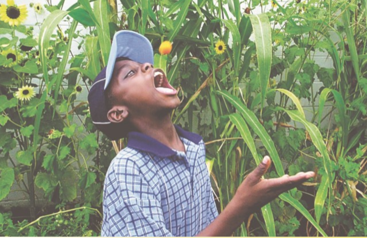 Boy eating grape