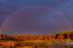 rainbow lagoon
